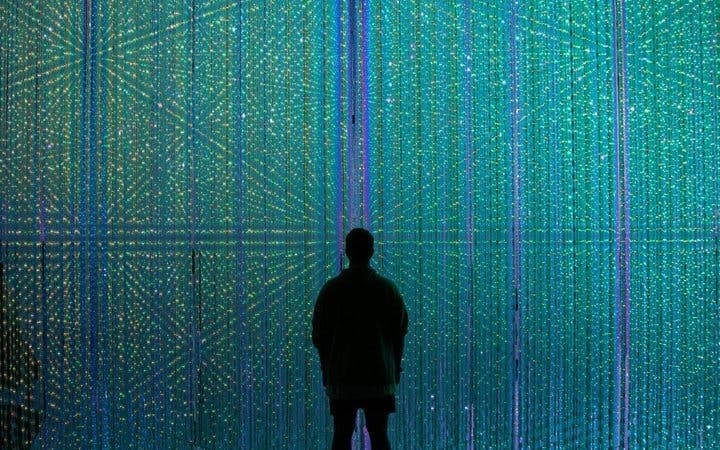 Tokyo Guided Tour: teamLab Borderless Digital Art Museum and Imperial Palace East Gardens Image 5