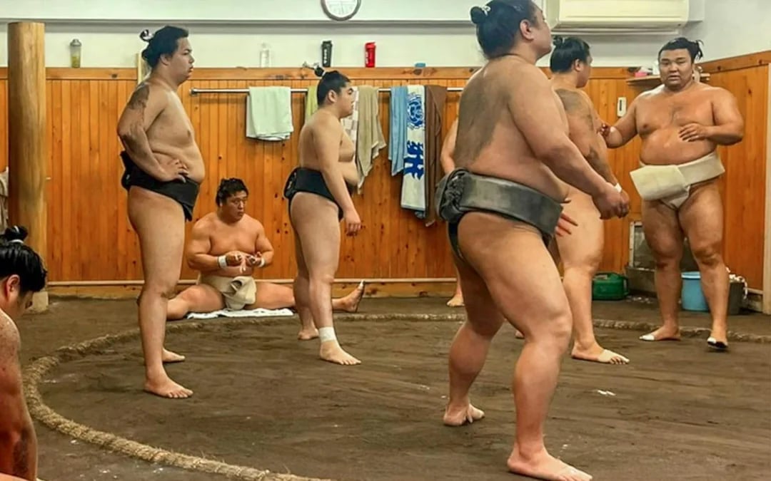 Tokyo Highlights Tour: Sumo, Sushi, Tea, Temples and Tokyo Tower Image 1