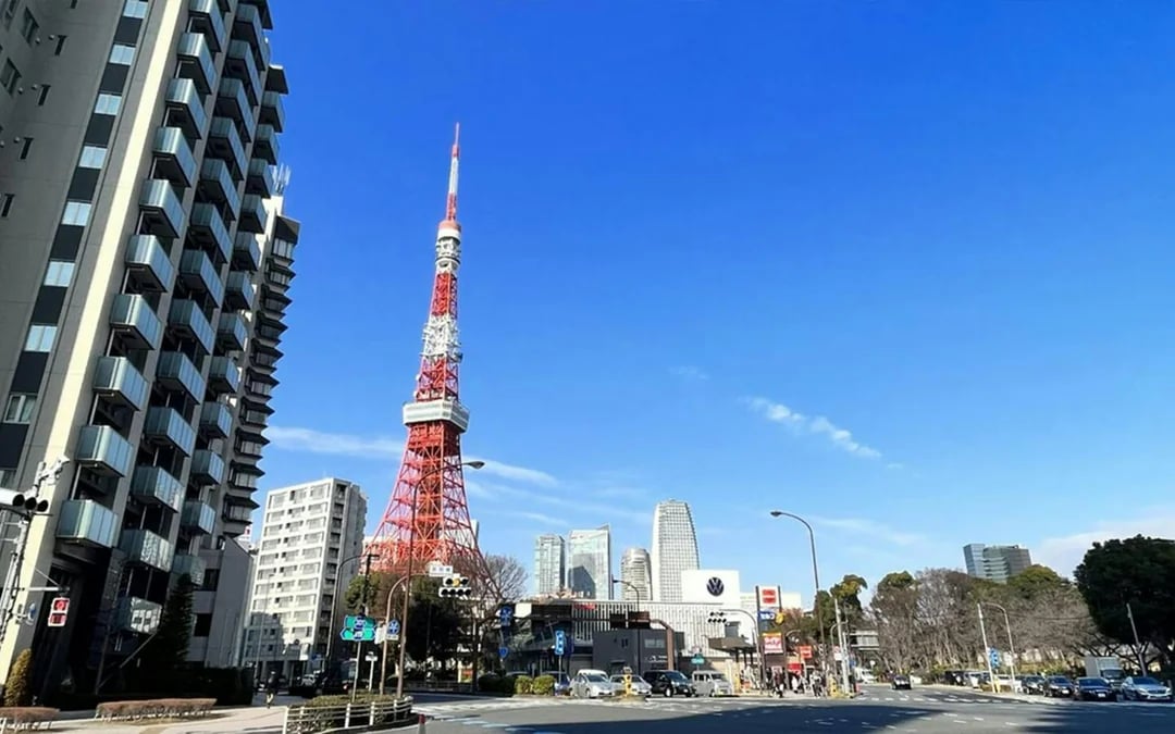Tokyo Highlights Tour: Sumo, Sushi, Tea, Temples and Tokyo Tower Image 4