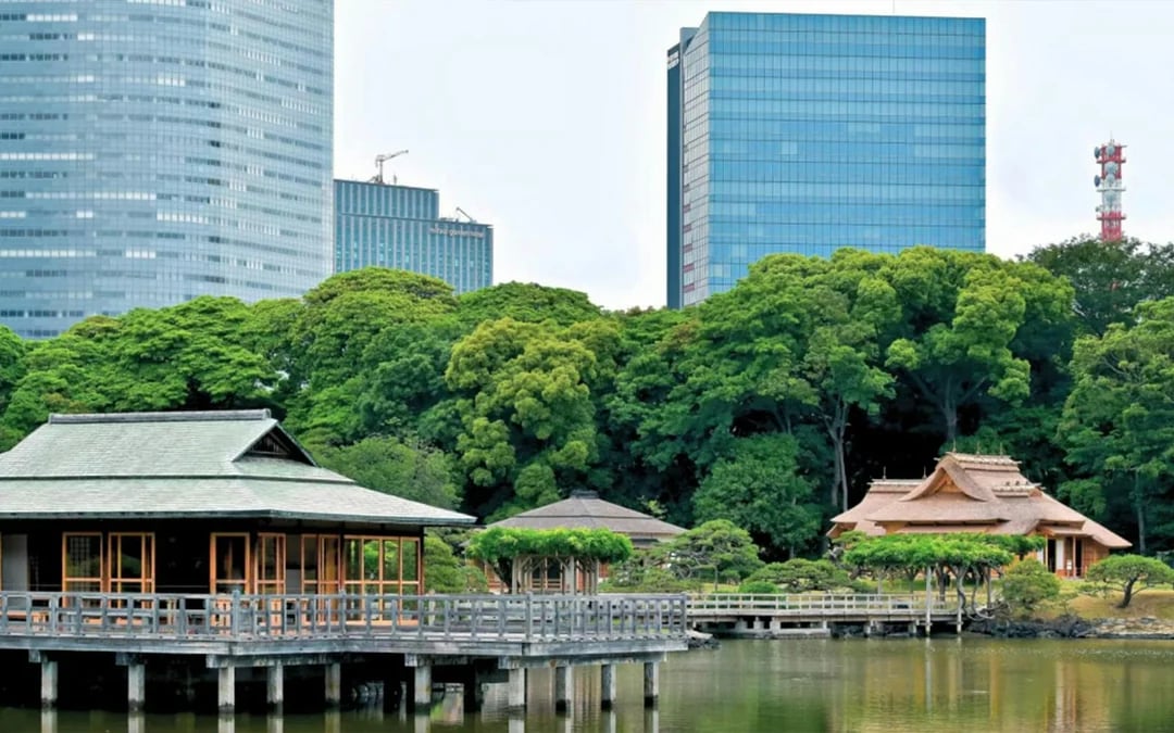 Tokyo Highlights Tour: Sumo, Sushi, Tea, Temples and Tokyo Tower Image 5