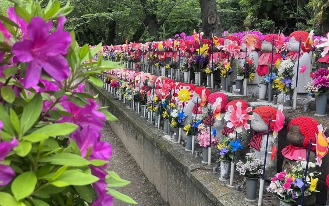 Tokyo Highlights Tour: Sumo, Sushi, Tea, Temples and Tokyo Tower Image 8