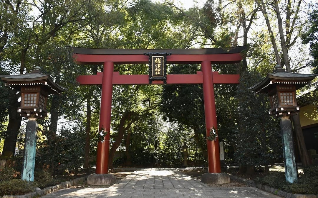 Tokyo Nezu Shrine and Yanaka Old Town Guided Walking Tour Image 1