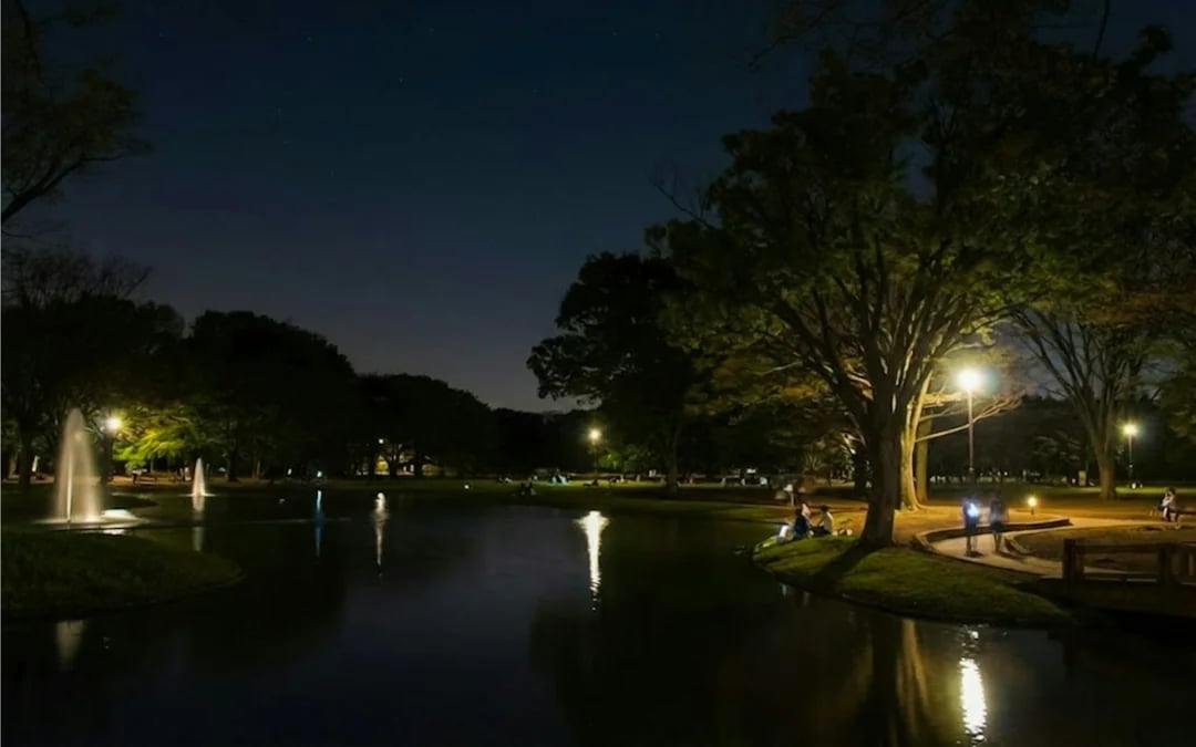 Tokyo Night Ghosts and Urban Legends Walking Tour with Aoyama Cemetery Image 4