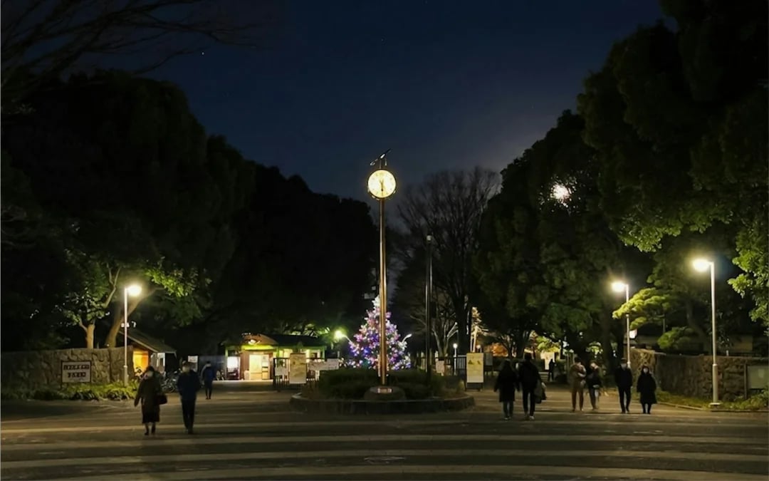 Tokyo Night Ghosts and Urban Legends Walking Tour with Aoyama Cemetery Image 5