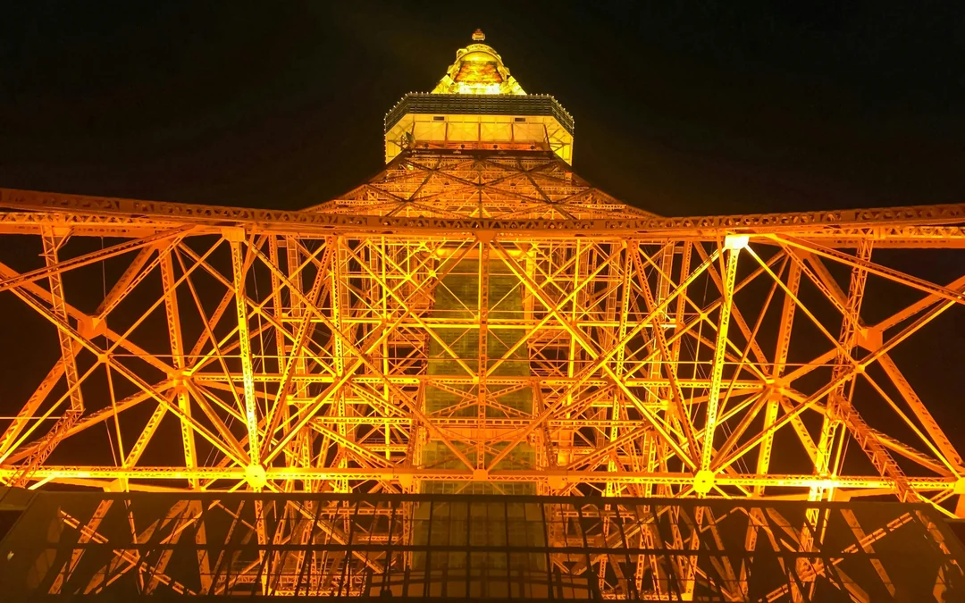 Tokyo Night Tour: Dinner cruise,Tokyo Tower,Tsukiji & Shinjuku Image 2