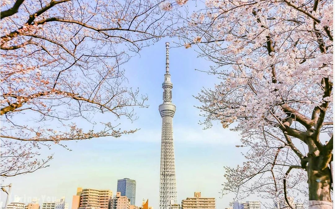 Tokyo Private City Tour with Skytree Admission and Asakusa–Odaiba Cruise Image 4