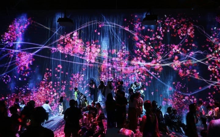 Tokyo Private Guided Tour: teamLab Borderless and Tokyo City View Observation Deck Image 3