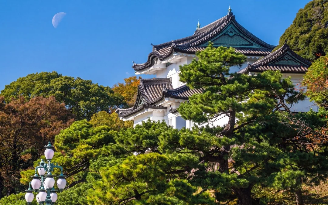 Tokyo Private Guided Walking Tour: Imperial Palace East Gardens and Edo Castle Ruins Image 1