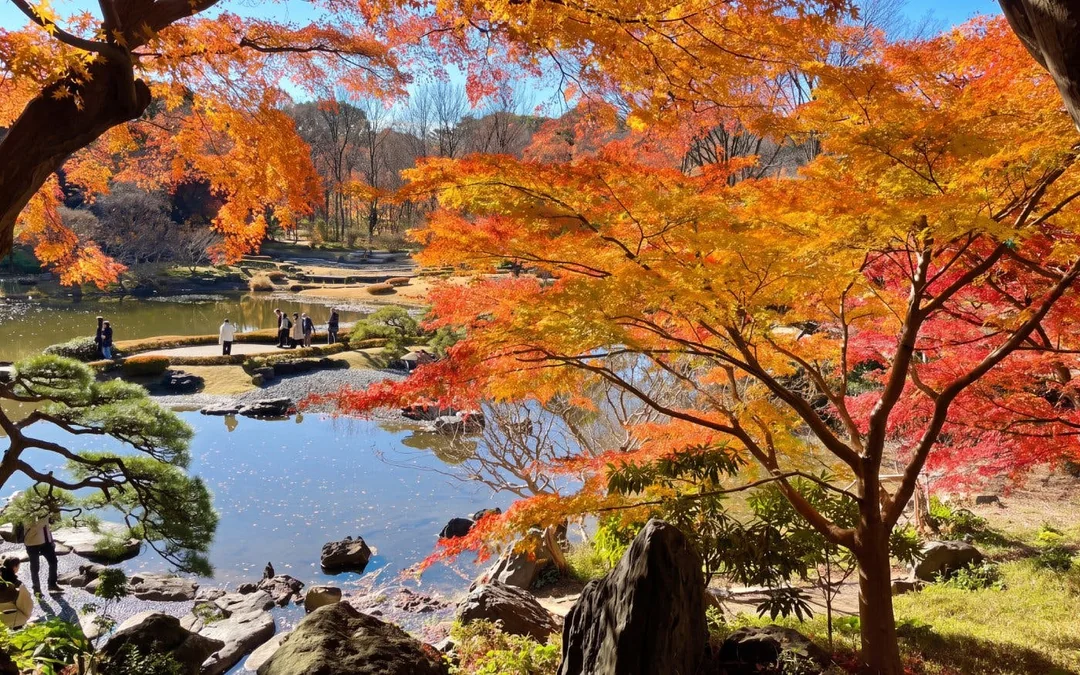 Tokyo Private Guided Walking Tour: Imperial Palace East Gardens and Edo Castle Ruins Image 3