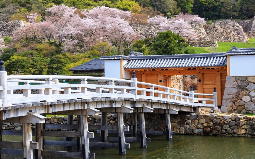 Tokyo Private Guided Walking Tour: Imperial Palace East Gardens and Edo Castle Ruins Image 4