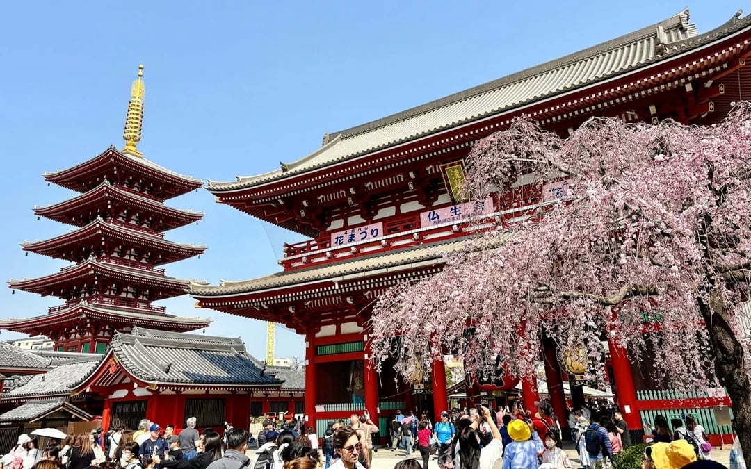 Tokyo Private Half-Day Tour in a Toyota Alphard Minivan with Local Guide Image 1