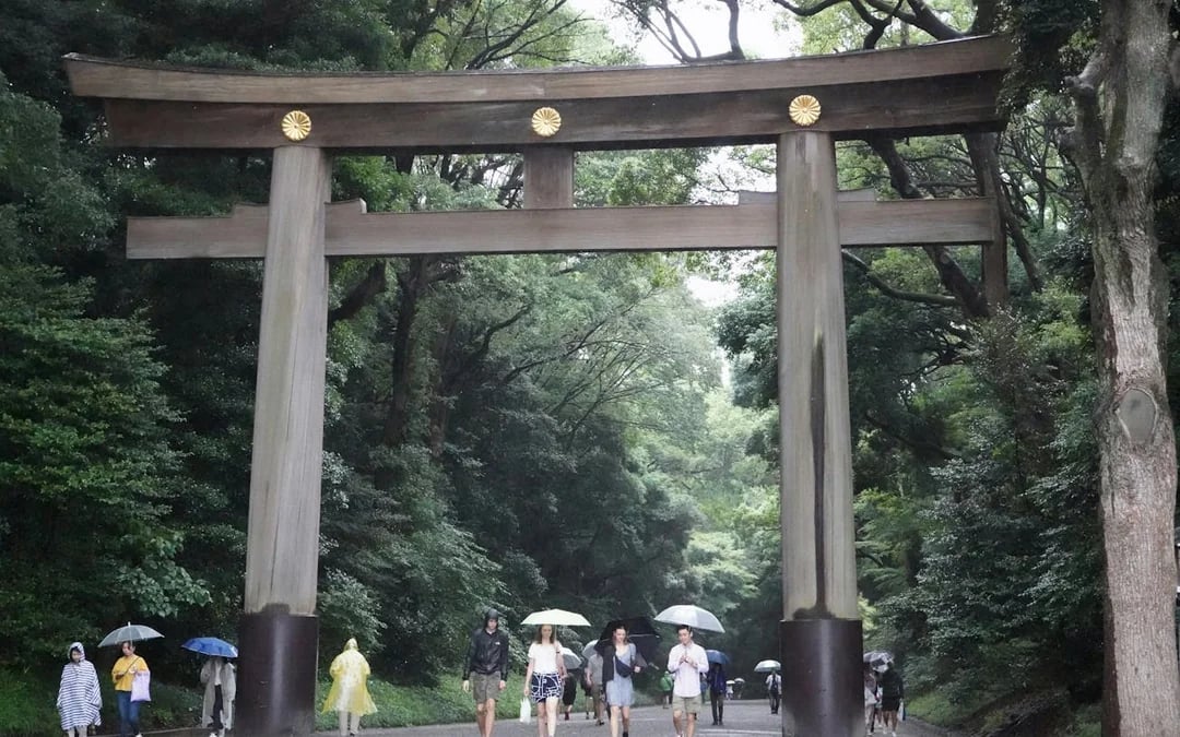 Tokyo Shibuya Sky, Cat Street, and Meiji Shrine Guided Walking Tour with SHIBUYA SKY Admission Image 2