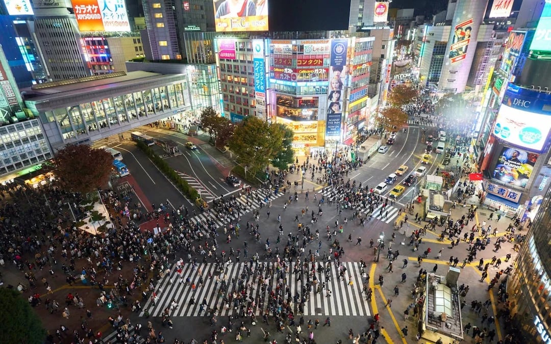 Tokyo Shibuya Sky, Cat Street, and Meiji Shrine Guided Walking Tour with SHIBUYA SKY Admission Image 6
