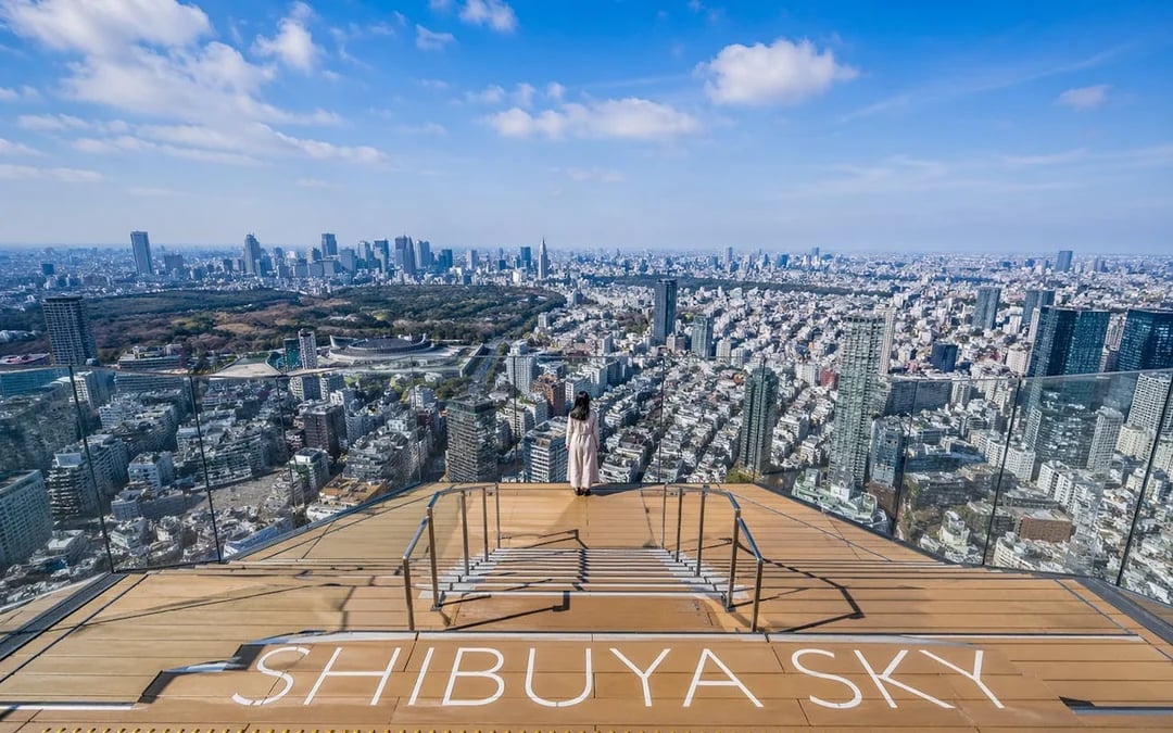Tokyo Shibuya Sky, Cat Street, and Meiji Shrine Guided Walking Tour with SHIBUYA SKY Admission Image 10