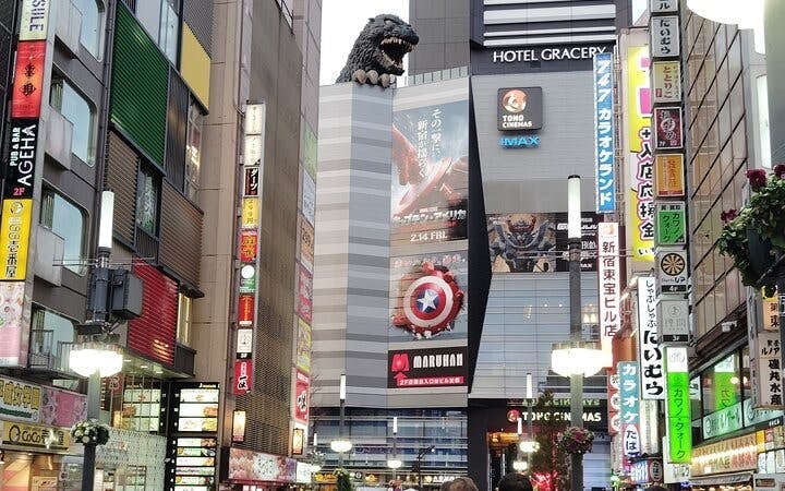 Tokyo Shinjuku and Shibuya Guided Walking Tour with In-Tour Transportation and City Highlights Image 5