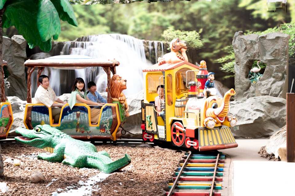 Tokyo Summerland: 1-Day Pass (Indoor Pool + Amusement Park) | Japan