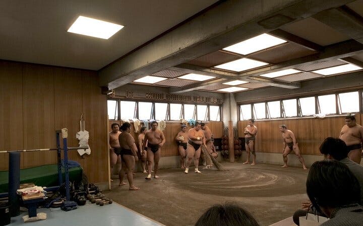 Tokyo Sumo Morning Practice Tour w/ Ring-Side Seat + Photo S Image 1