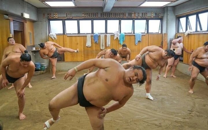 Tokyo Sumo Morning Practice Tour w/ Ring-Side Seat + Photo S Image 8
