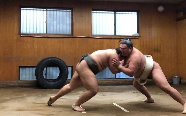 Tokyo Sumo Morning Practice Tour w/ Ring-Side Seat + Photo S Image 9
