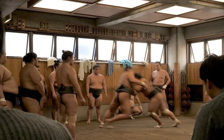 Tokyo Sumo Morning Practice Tour w/ Ring-Side Seat + Photo S Image 10
