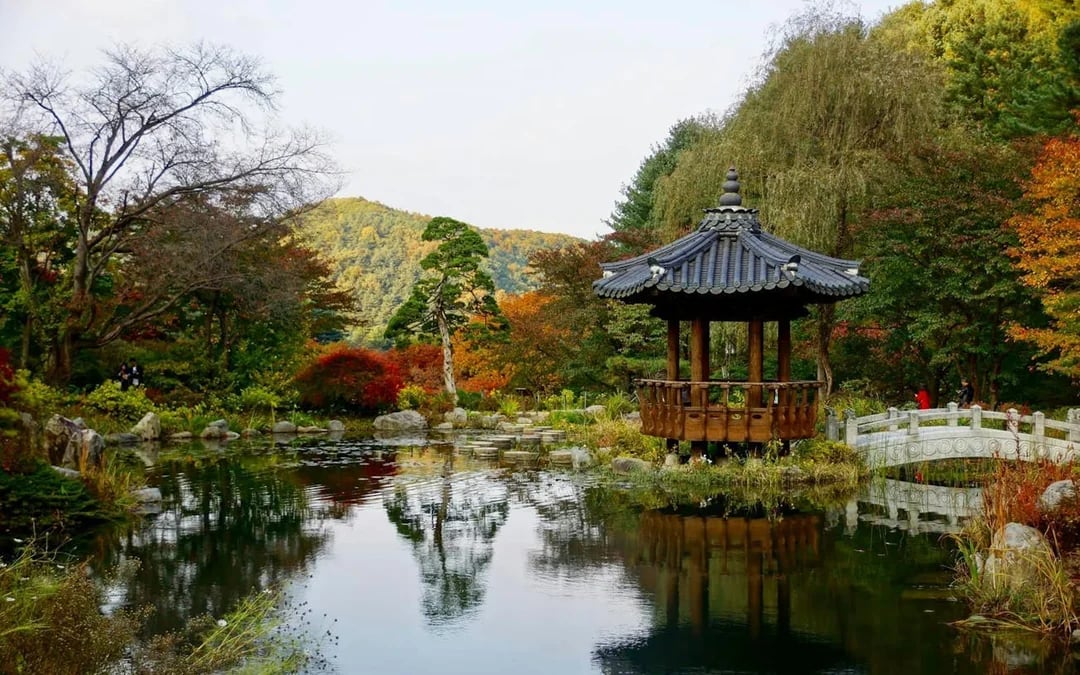 Tokyo: teamLab Borderless Admission and Imperial Palace East Gardens Guided Walking Tour Image 4