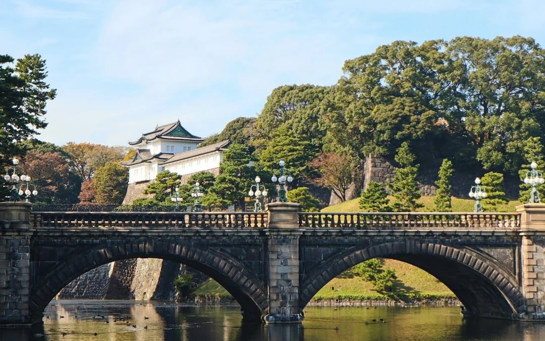 Tokyo: teamLab Borderless Admission and Imperial Palace East Gardens Guided Walking Tour Image 6