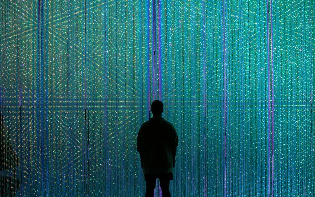 Tokyo: teamLab Borderless Museum Entry, Guided Art Walk, and Tokyo City View Observation Deck Tour Image 2