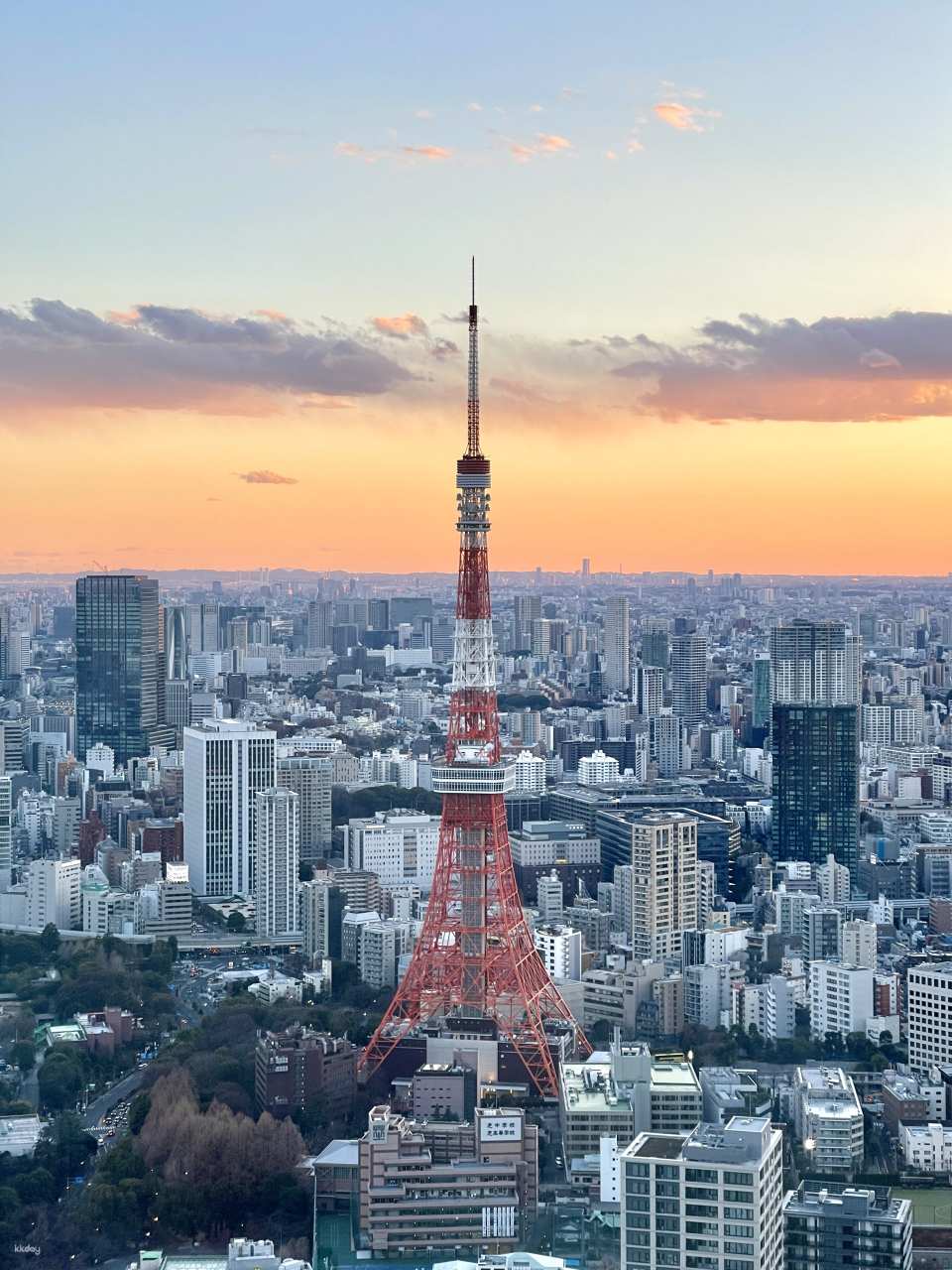 Tokyo Tower Main Observatory Ticket