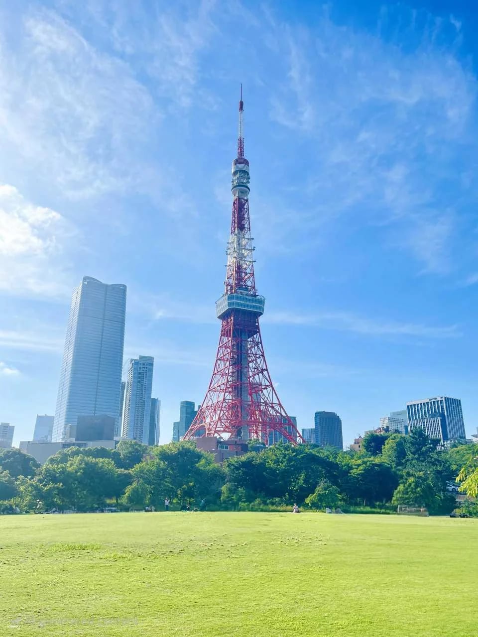Tokyo Tower Main Observatory Ticket