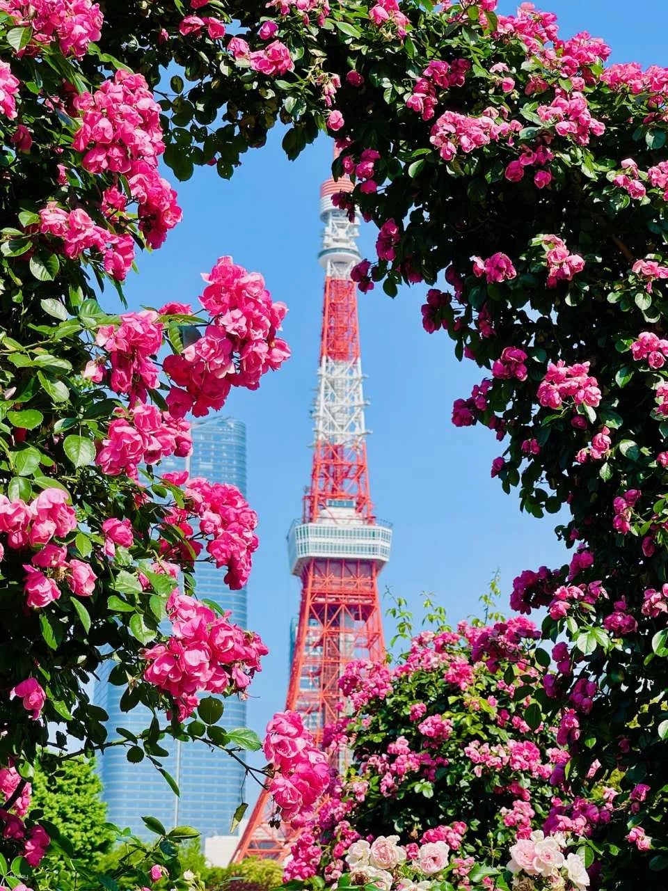 Tokyo Tower Main Observatory Ticket