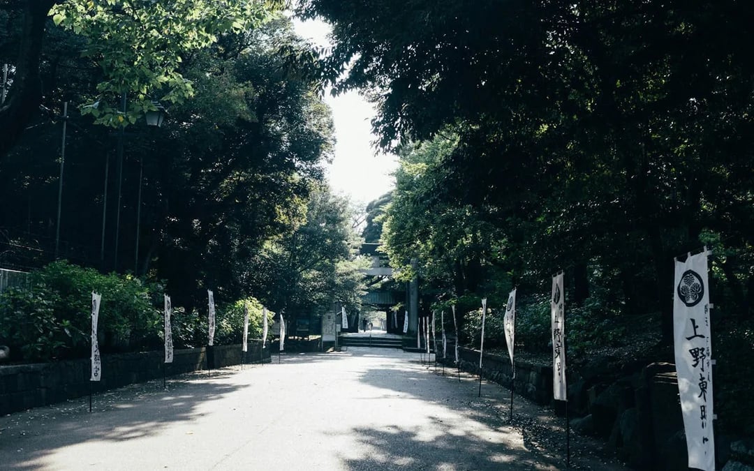 Tokyo Ueno Park and Ameyoko Guided Walking Tour with Street Food Tastings and Historical Insights Image 6