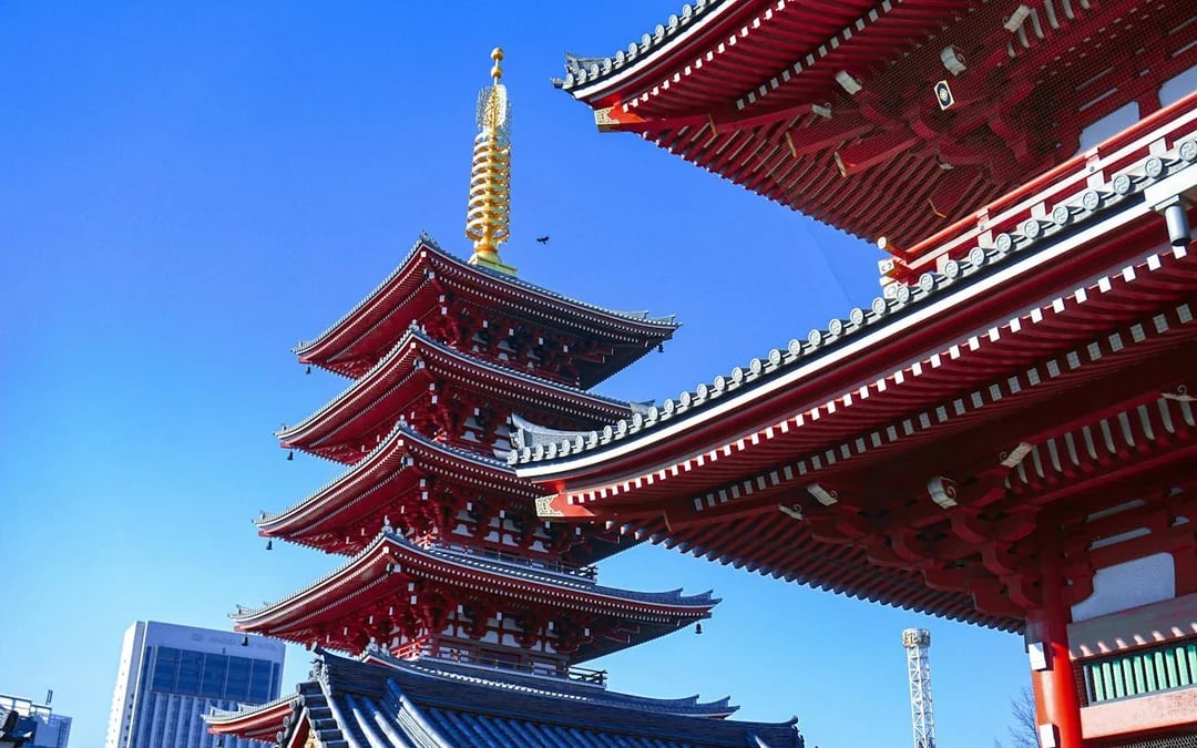 Tokyo Walking Tour of Tsukiji, Asakusa, and Akihabara: Culinary, Historical, and Pop Culture Districts Guided Experience Image 5