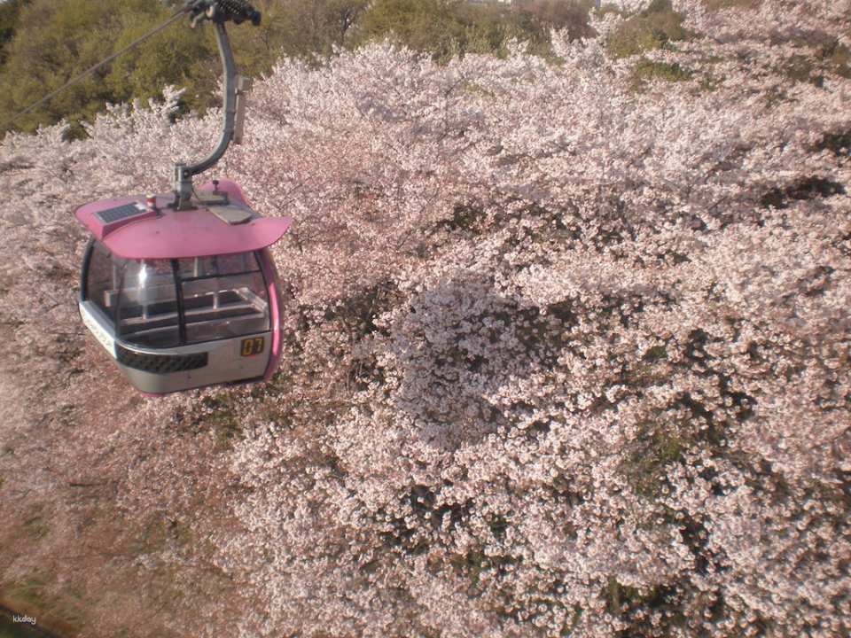 Tokyo Yomiuriland Package | Yomiuriland Ticket & Keio Line One-Day Pass