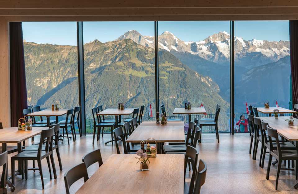 Harder Kulm Funicular: Top of Interlaken Ticket | Switzerland