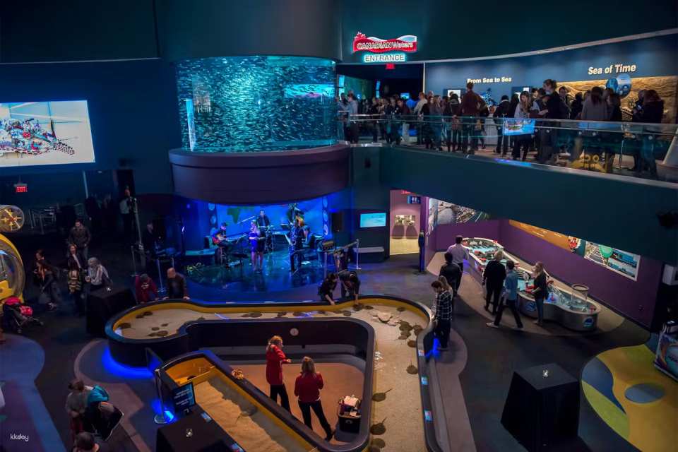 Toronto, Canada | Ripley's Aquarium Tickets
