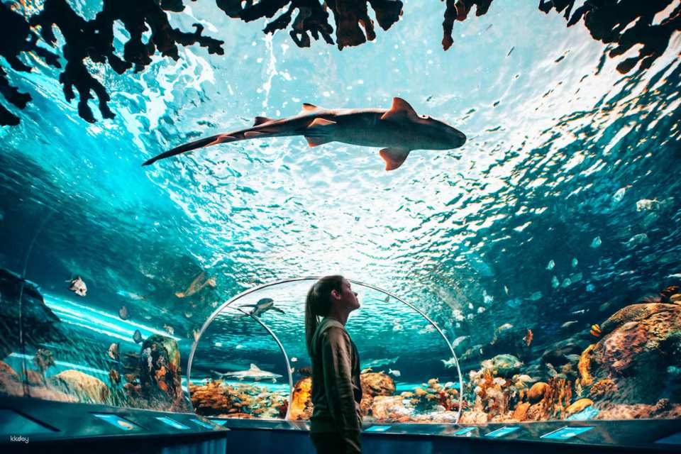 Toronto, Canada | Ripley's Aquarium Tickets