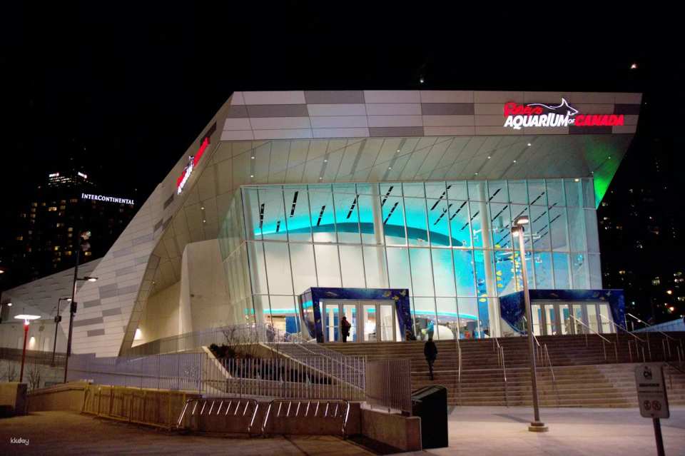 Toronto, Canada | Ripley's Aquarium Tickets