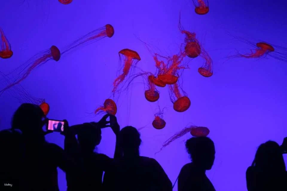 Toronto, Canada | Ripley's Aquarium Tickets