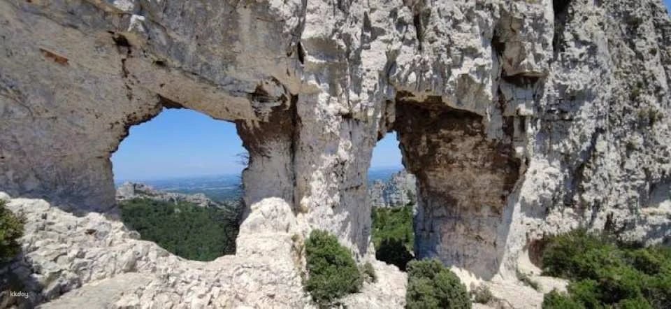 Tour of Avignon, St Remy, Les Baux et Pont du Gard from Avignon