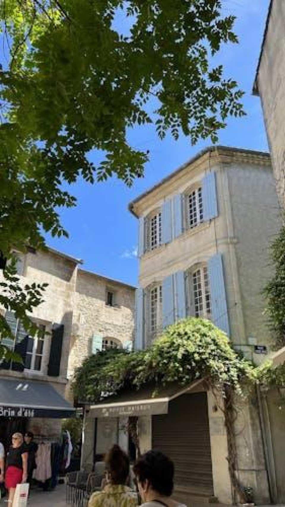 Tour of Avignon, St Remy, Les Baux et Pont du Gard from Avignon