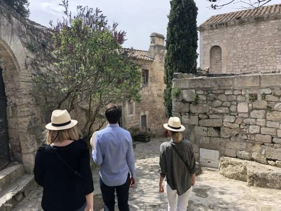 Tour of Avignon, St Remy, Les Baux et Pont du Gard from Avignon