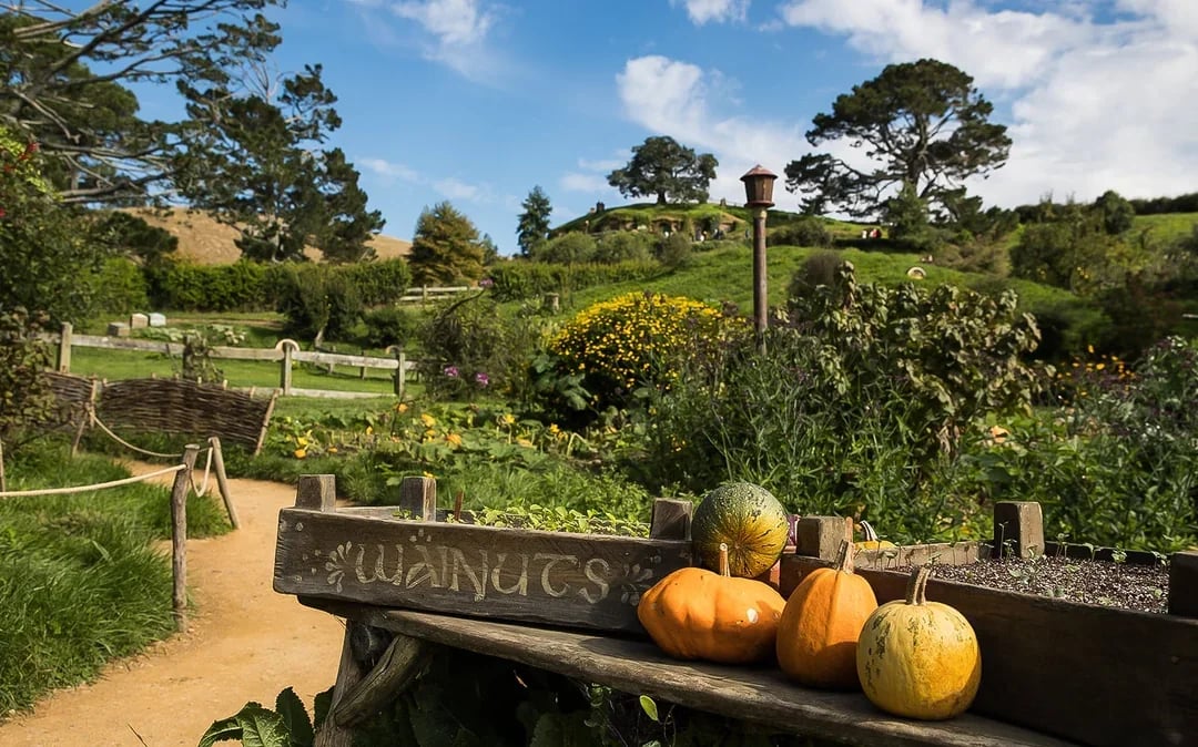 Tour of Hobbiton Movie Set from Rotorua Image 7