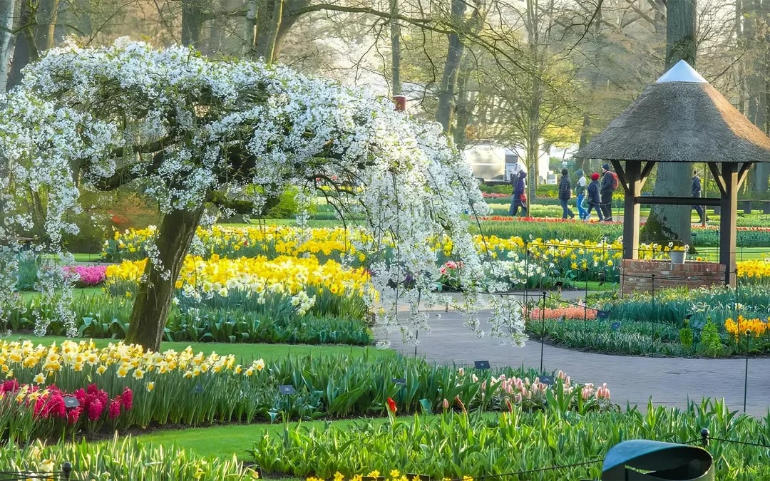Tour to Keukenhof with Windmill Cruise from Amsterdam Image 11
