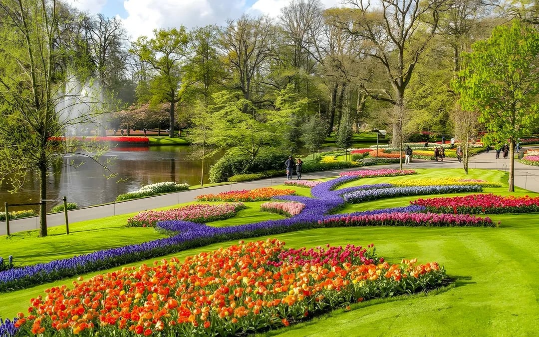 Tour to Keukenhof with Windmill Cruise from Amsterdam Image 8