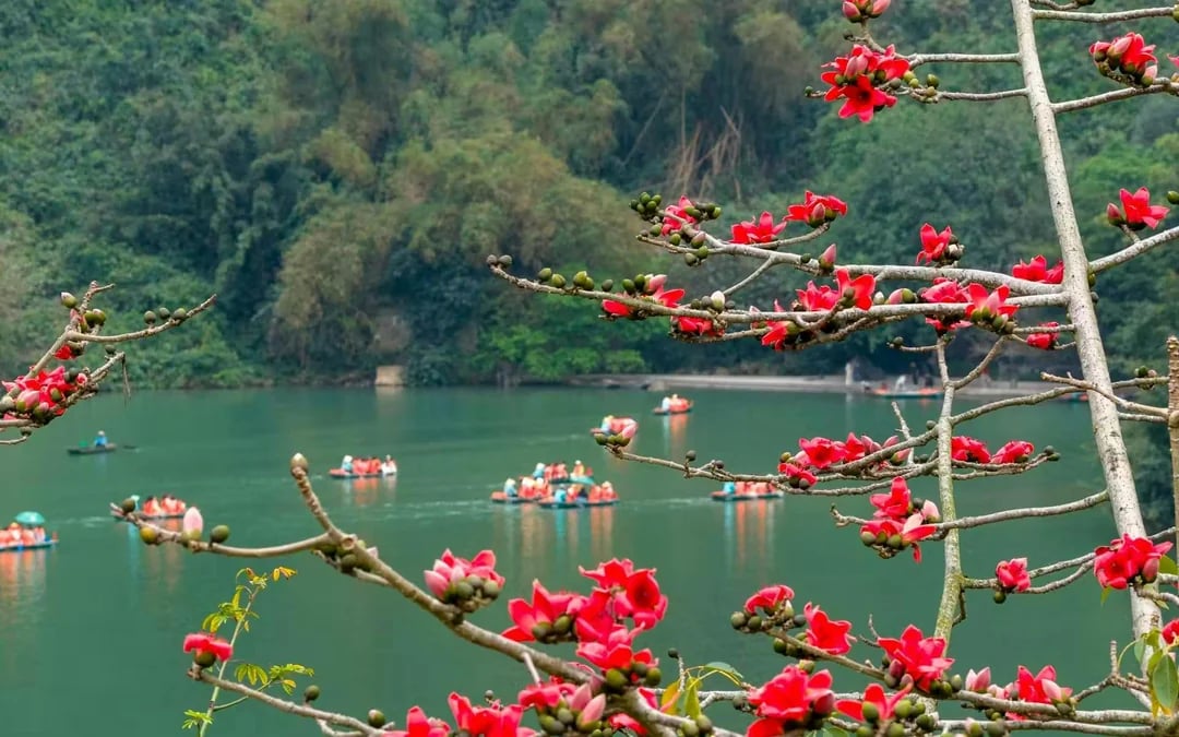 Trang An Landscape Complex Tickets Image 5