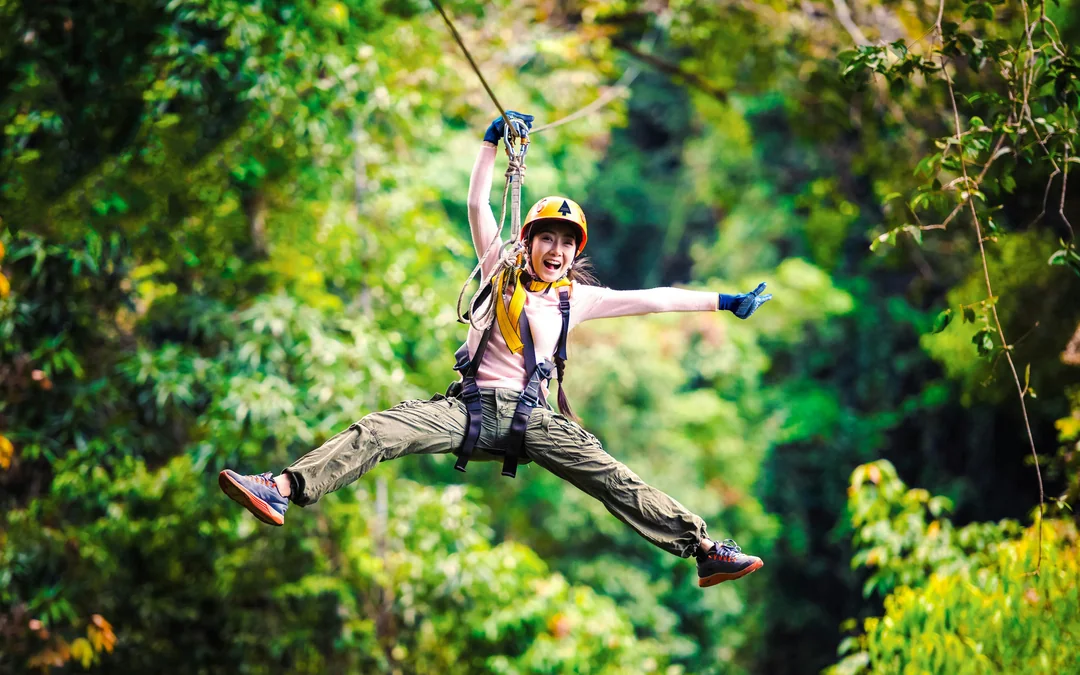 Treetops Adventure Zipline Cape Tribulation Canopy Tour Image 1
