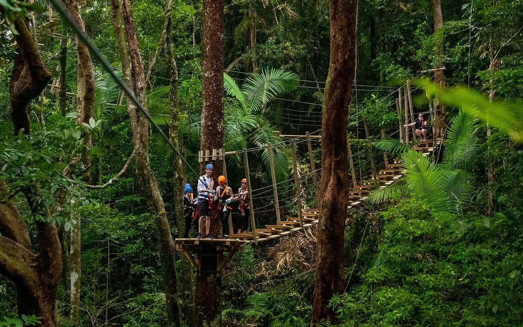 Treetops Adventure Zipline Cape Tribulation Canopy Tour Image 2