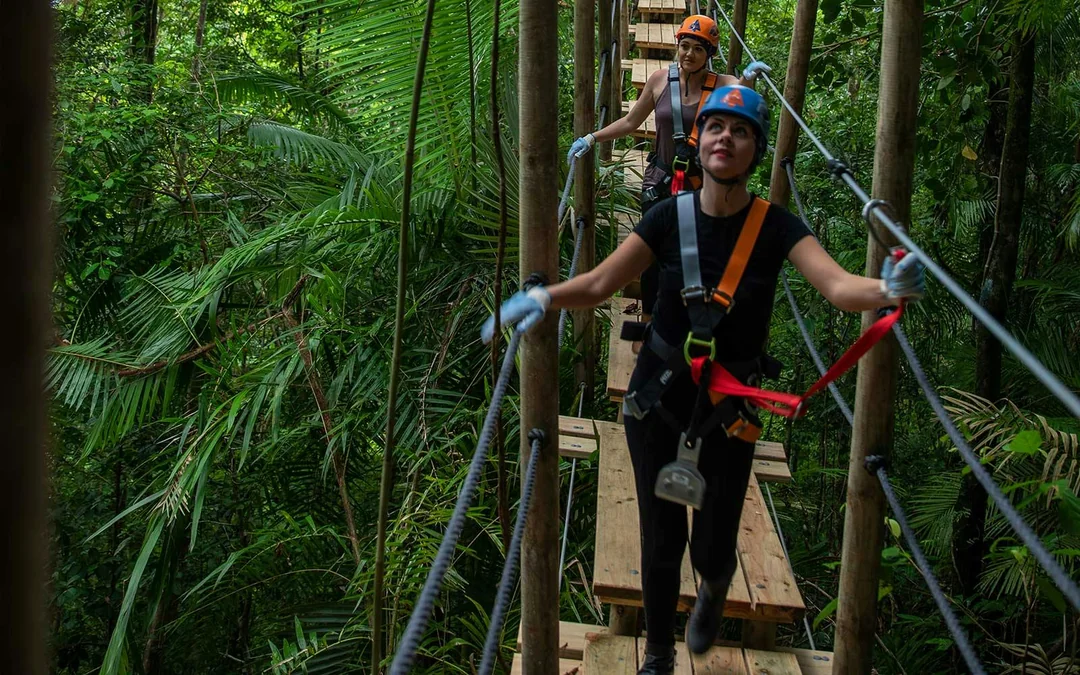 Treetops Adventure Zipline Cape Tribulation Canopy Tour Image 11