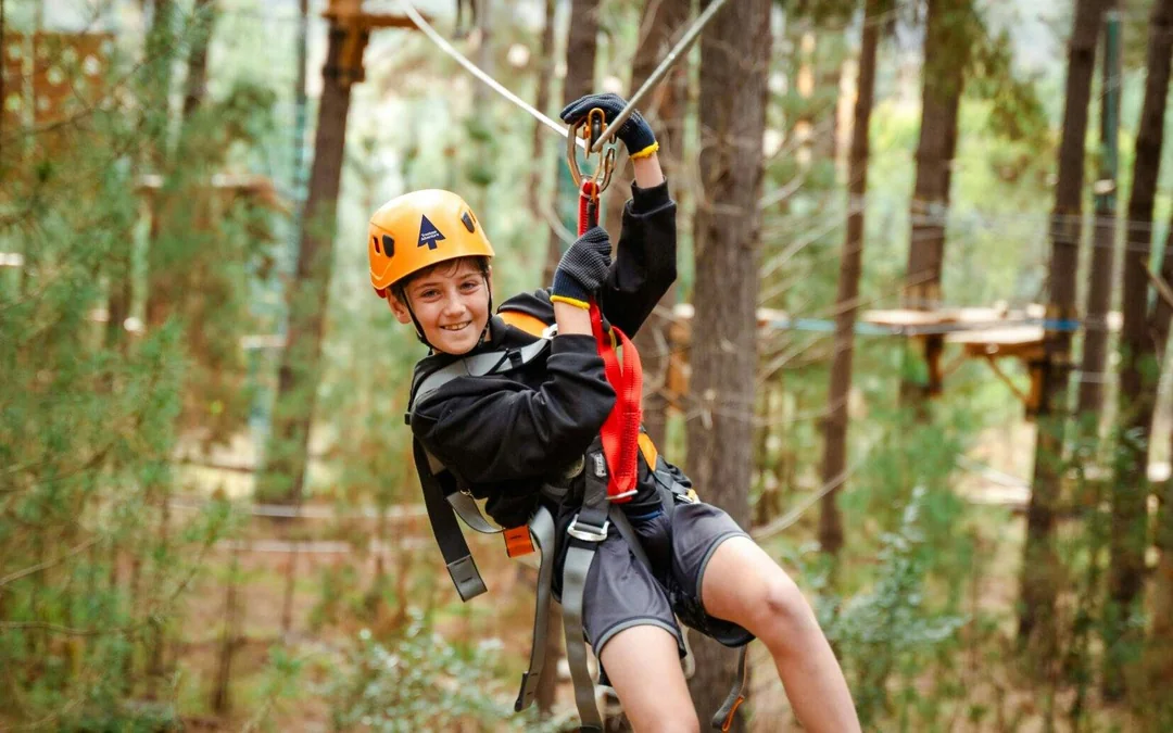 Treetops Adventure Zipline Cape Tribulation Canopy Tour Image 4