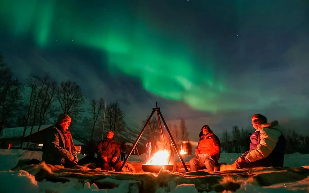 Tromsø: Northern Light Aurora Chase with Guide by Big Bus Image 1